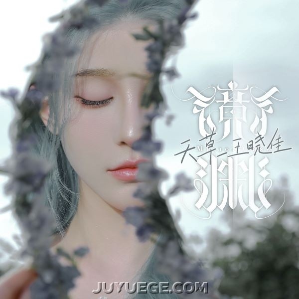 王晓佳《镜渊Mirrorglass》[FLAC/MP3]夸克网盘下载