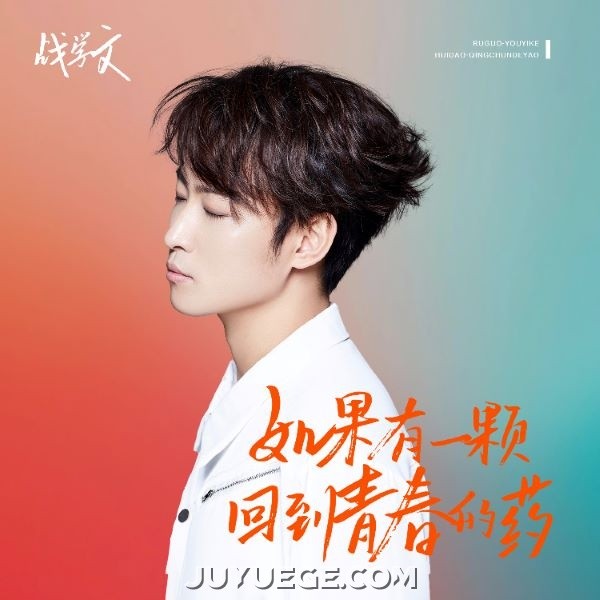 战学文《如果有一颗回到青春的药》[FLAC/MP3]夸克网盘下载